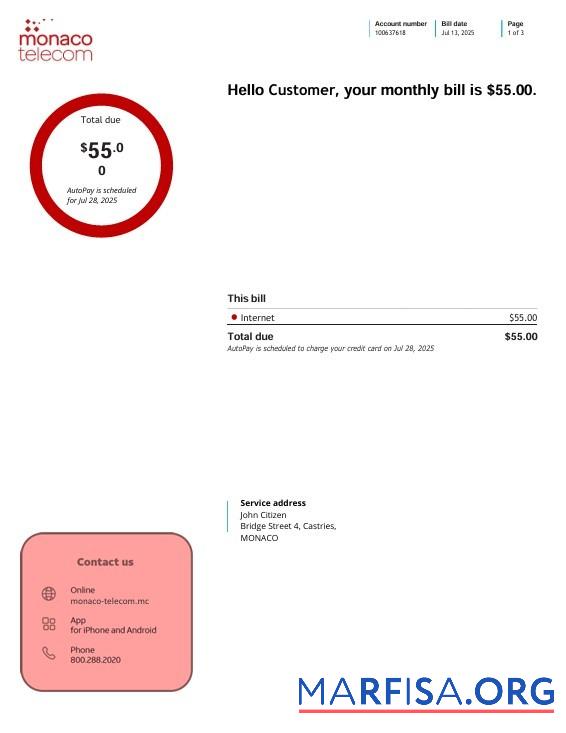Blank Monaco telecom internet utility bill, 3 pages sample